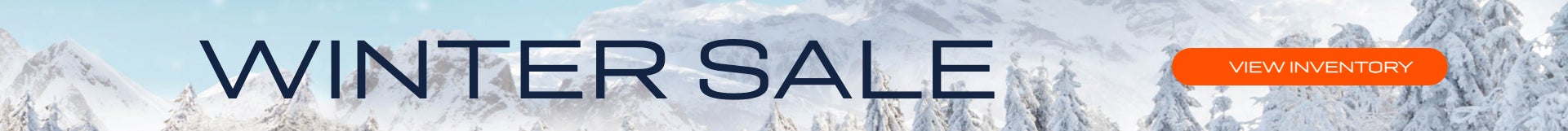 Winter Sale